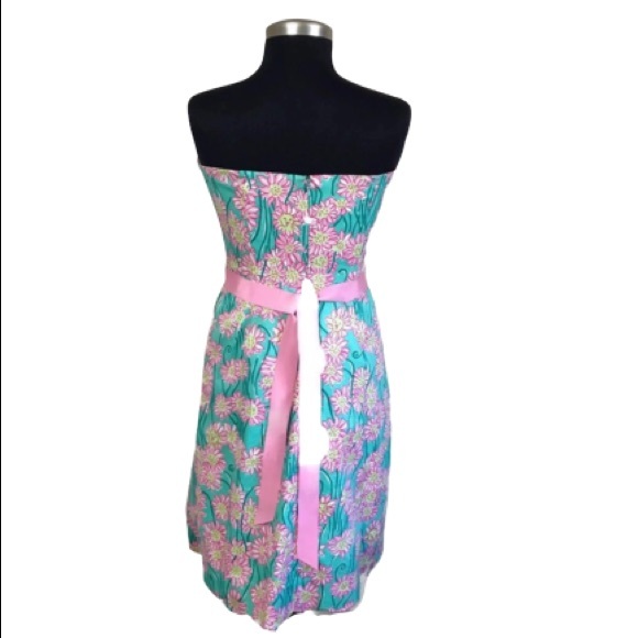 Lilly Pulitzer Green Grass Lion Head Dress  Size 6 - Picture 4 of 5